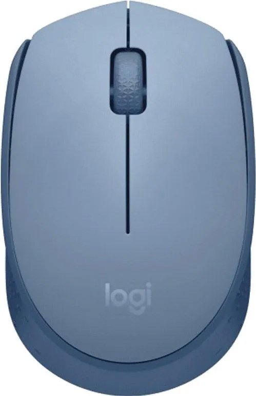 Logitech Mouse M172